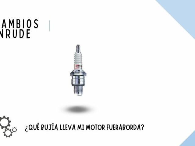 BLOG BUJIAS
