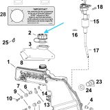 5008406 Tapon deposito aceite
